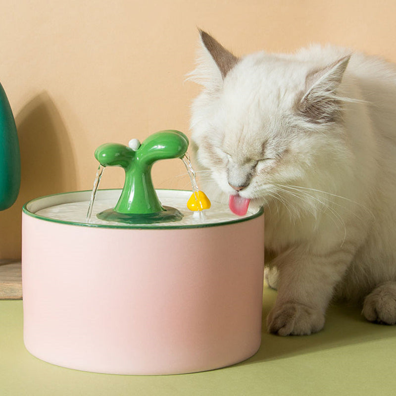 Cat Fountain – SpringFlow™