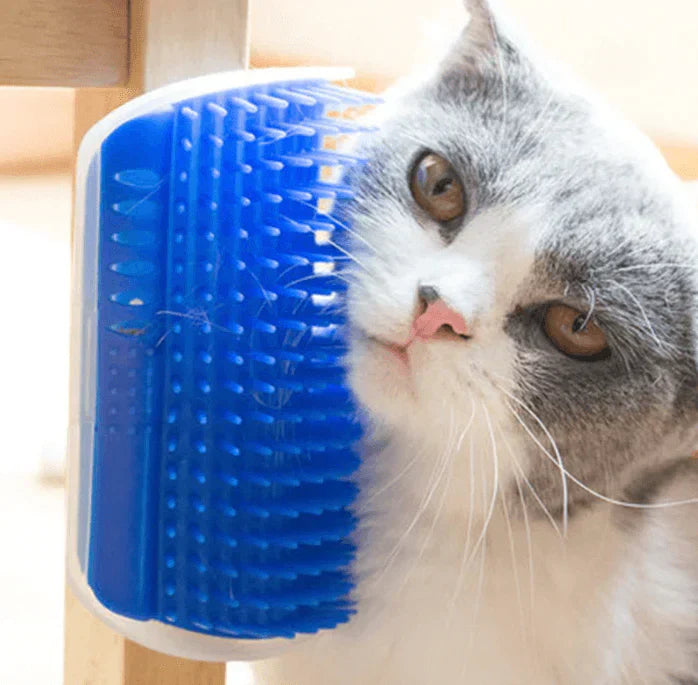 Cat Corner Brush for Self-Grooming - PurrGroom