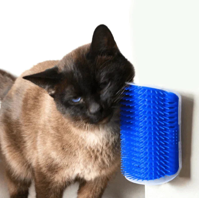 Cat Corner Brush for Self-Grooming - PurrGroom