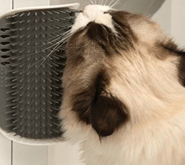 Cat Corner Brush for Self-Grooming - PurrGroom