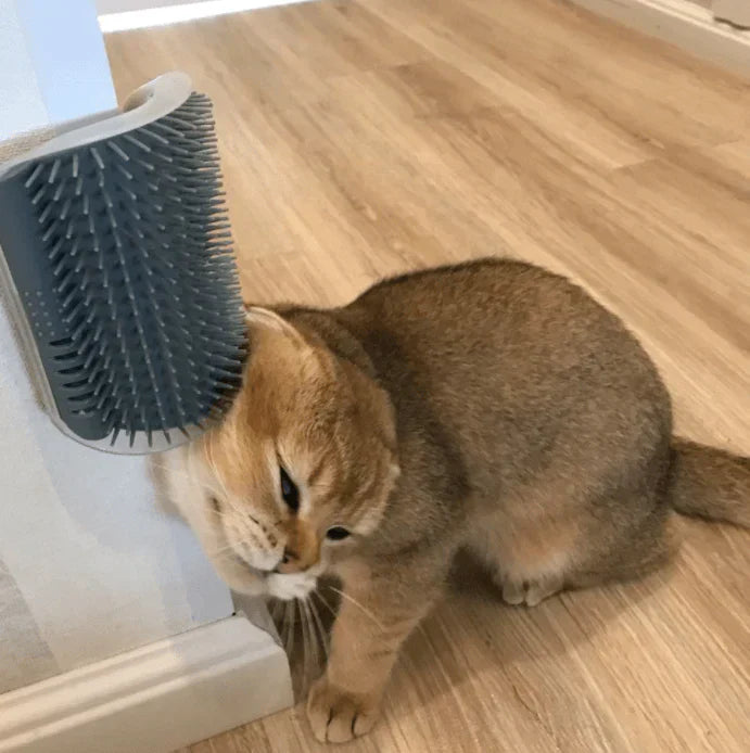 Cat Corner Brush for Self-Grooming - PurrGroom