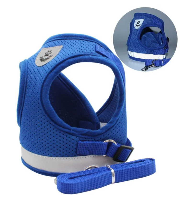 Cat Harness with Leash - AdventureKit