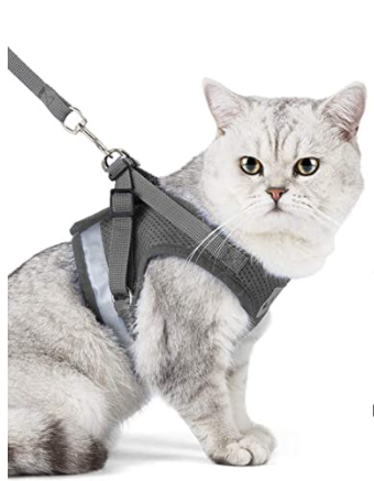 Cat Harness with Leash - AdventureKit