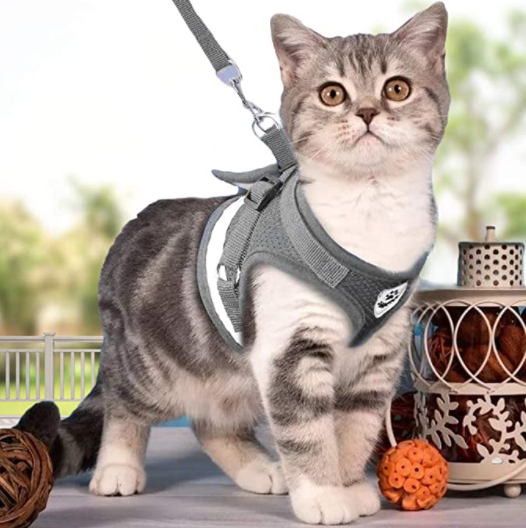 Cat Harness with Leash - AdventureKit