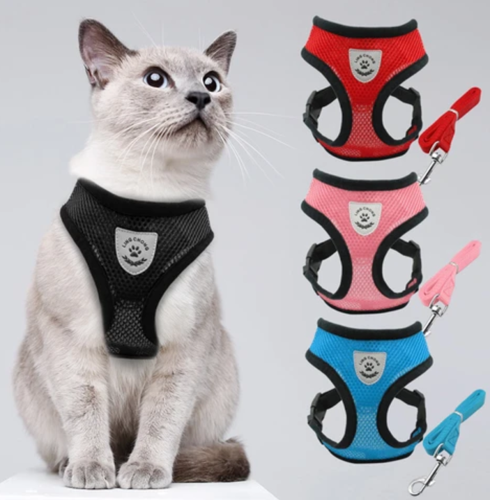 Cat Harness with Leash - AdventureKit