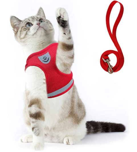 Cat Harness with Leash - AdventureKit
