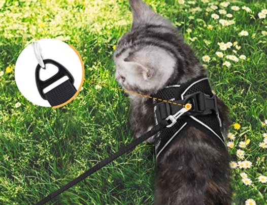 Cat Harness with Leash - AdventureKit