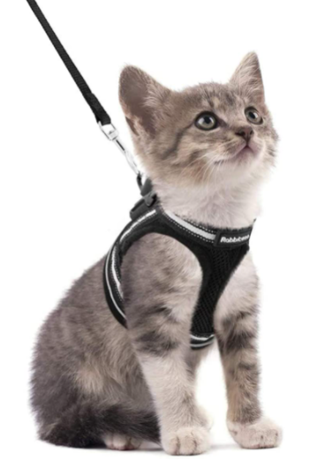 Cat Harness with Leash - AdventureKit
