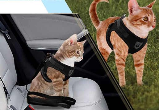 Cat Harness with Leash - AdventureKit