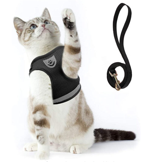 Cat Harness with Leash - AdventureKit