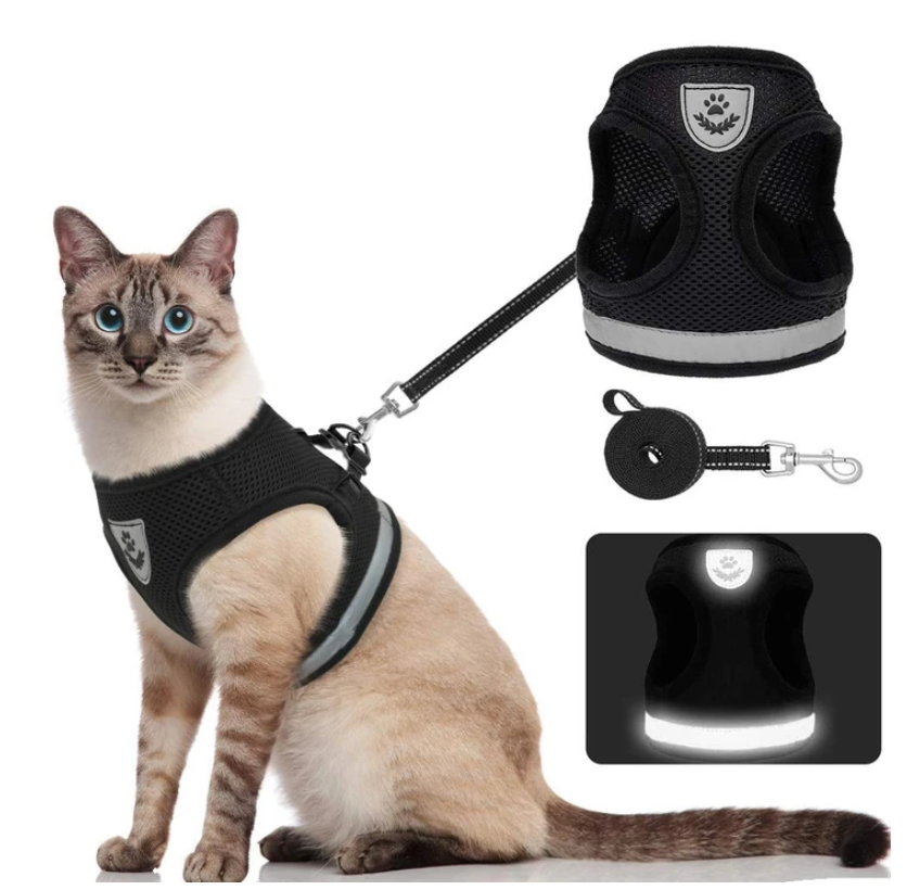 Cat Harness with Leash - AdventureKit