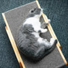 The 3-in-1 Scratching Post and Lounge Chair for Cats – ClawLounge