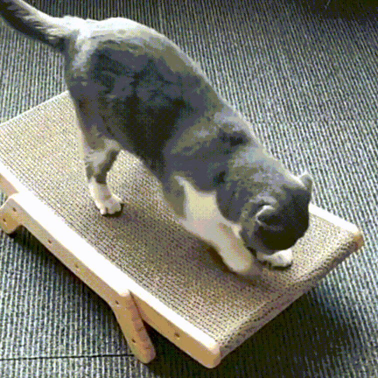 The 3-in-1 Scratching Post and Lounge Chair for Cats – ClawLounge