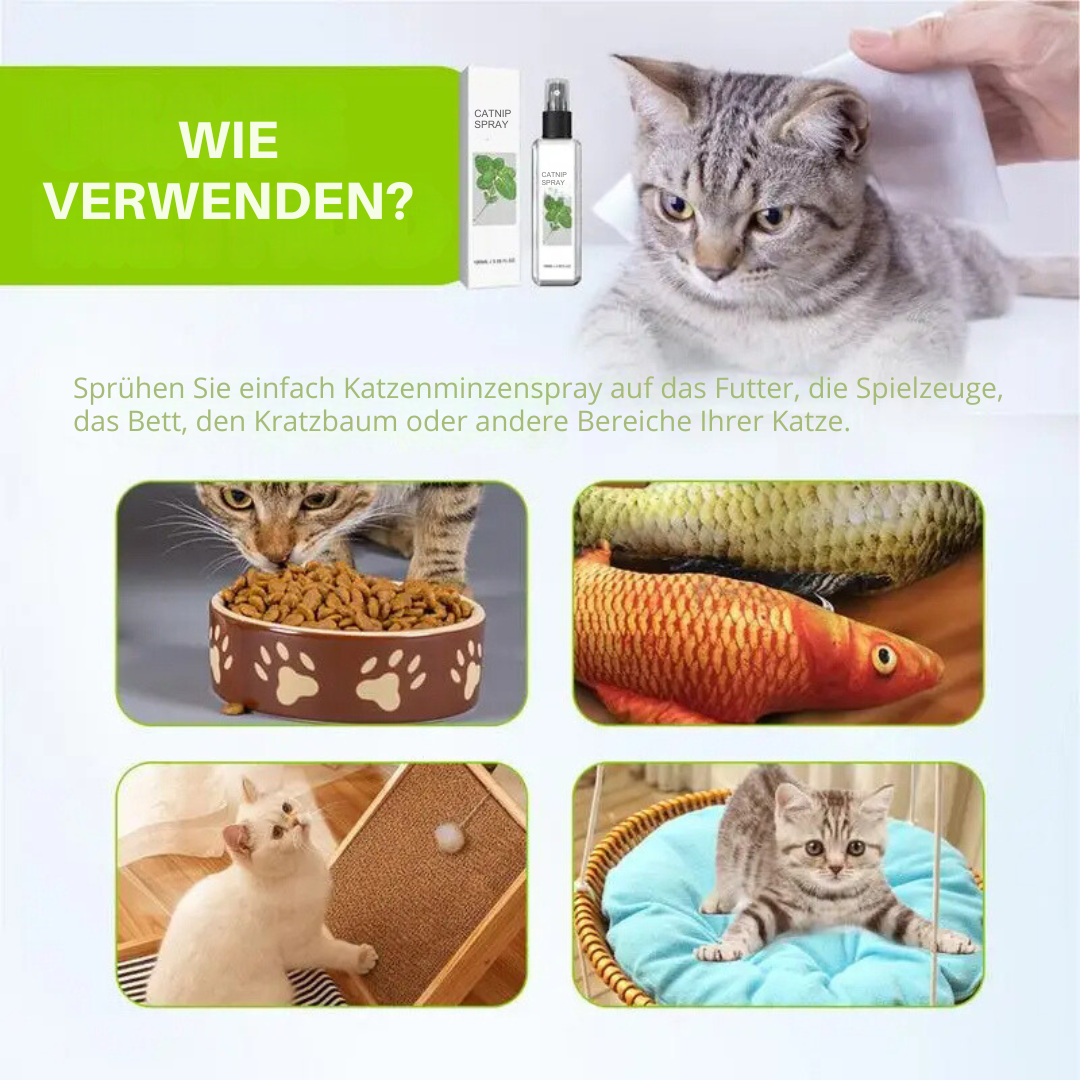 Soothing Cat Spray - SilverVine Bliss Spray