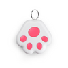 Pet GPS Tag - PawFinder