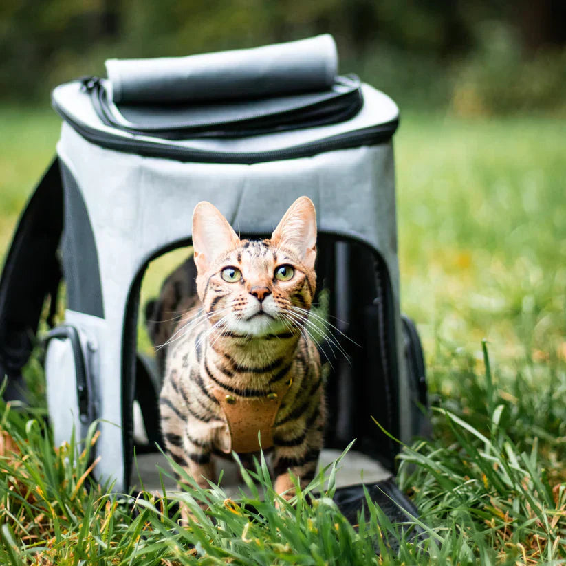Cat Backpack – PurrPack