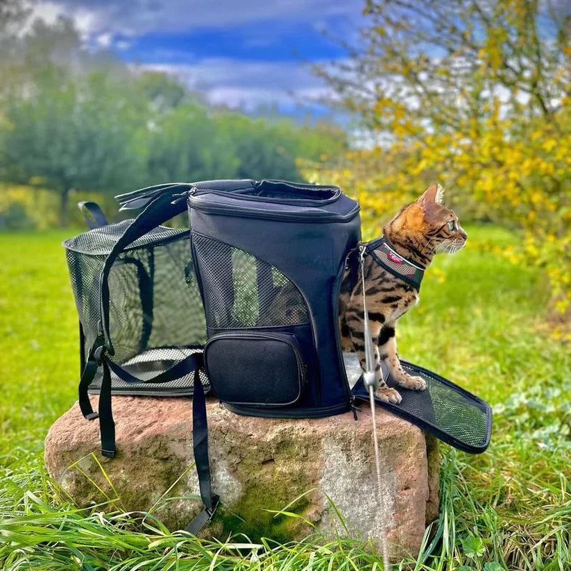 Cat Backpack – PurrPack