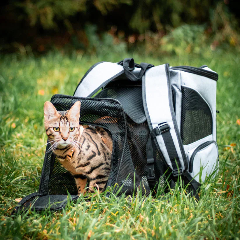 Cat Backpack – PurrPack