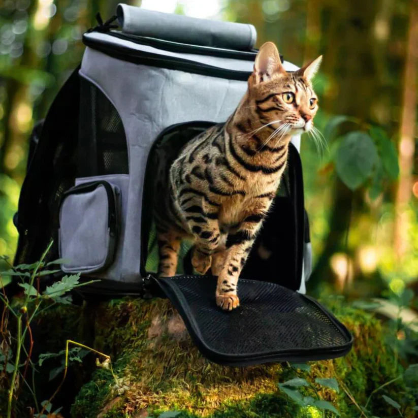 Cat Backpack – PurrPack