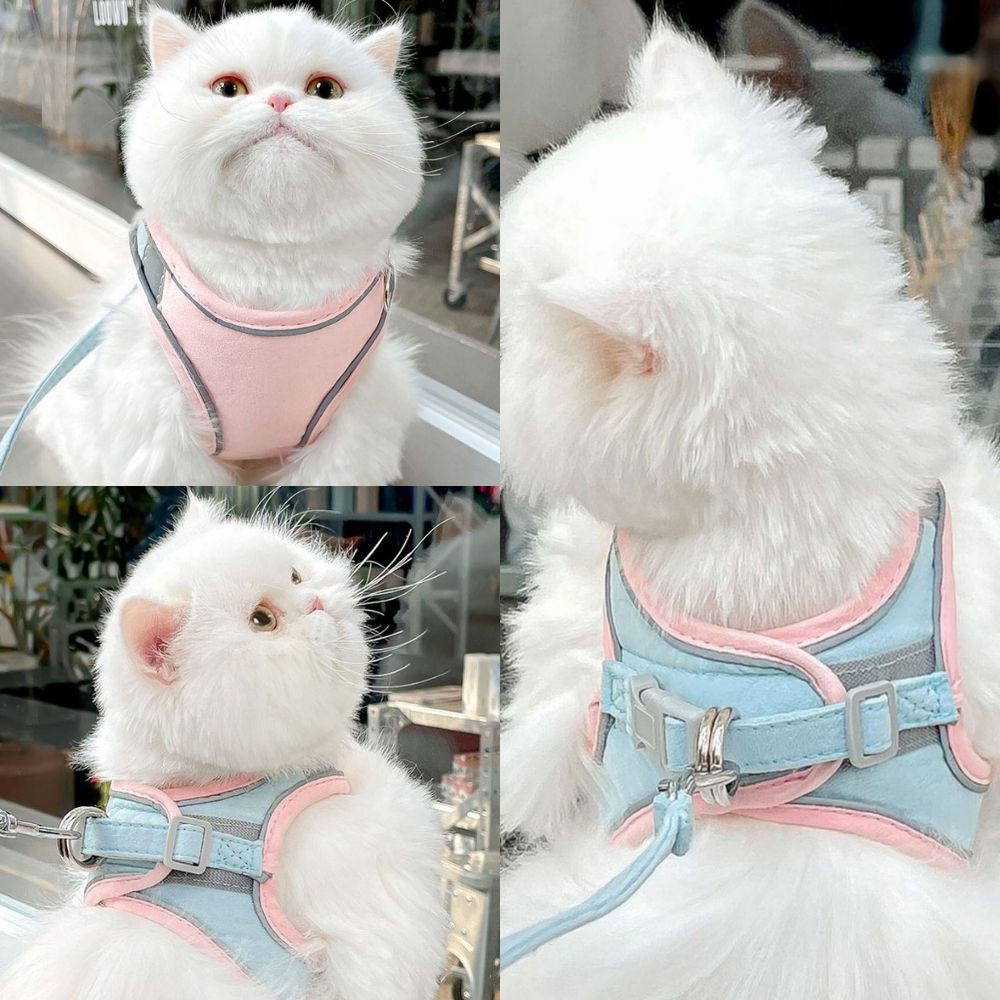 Cat Harness – Oscar