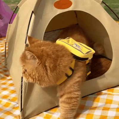 Cooling Cat Tent - CoolCat Retreat