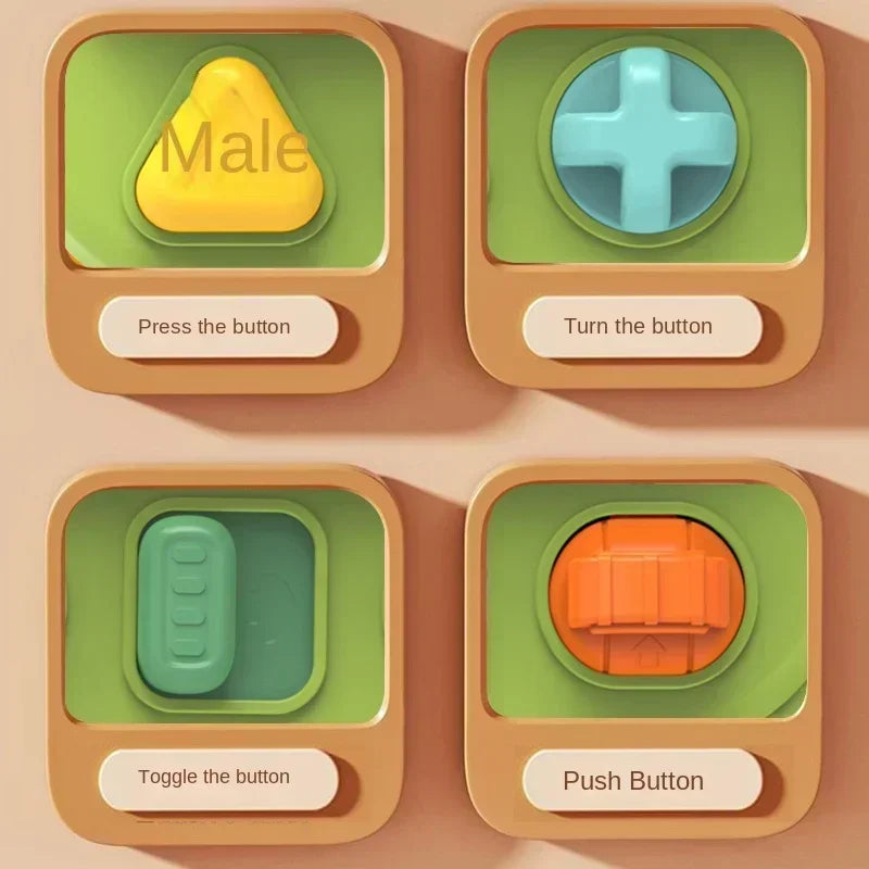 Peek & Play | Educational Baby Toy - Discover & Play