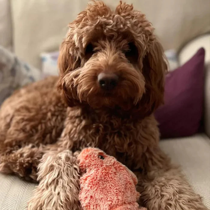 Movable Dog Toy with Motion Sensor - PlayPal