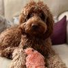 Movable Dog Toy with Motion Sensor - PlayPal