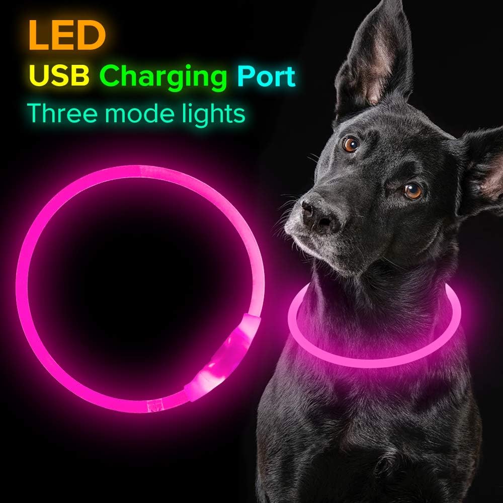 GlowSafe LED Dog Collar – Rechargeable USB Safety Light