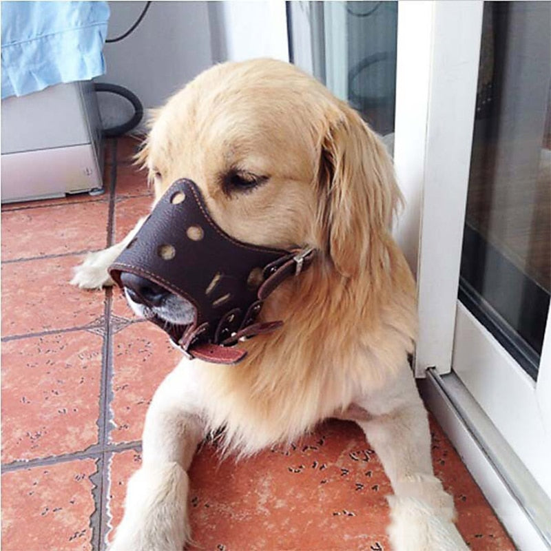 Leather Dog Muzzle - Safety and Comfort | Sizes and Colours