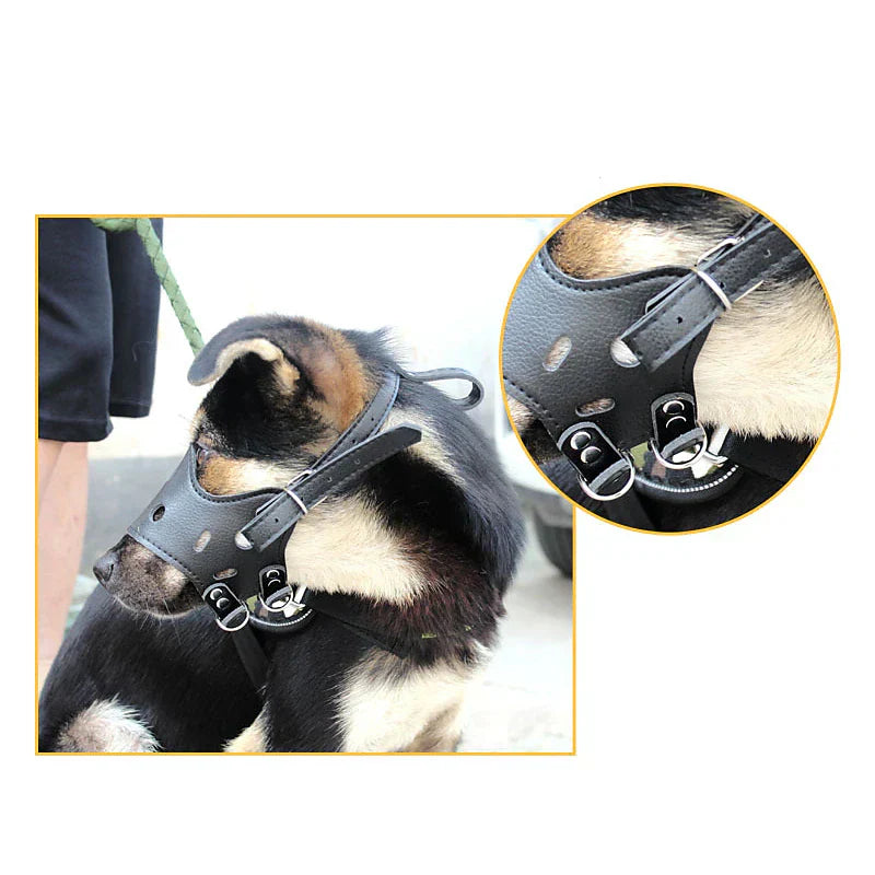 Leather Dog Muzzle - Safety and Comfort | Sizes and Colours