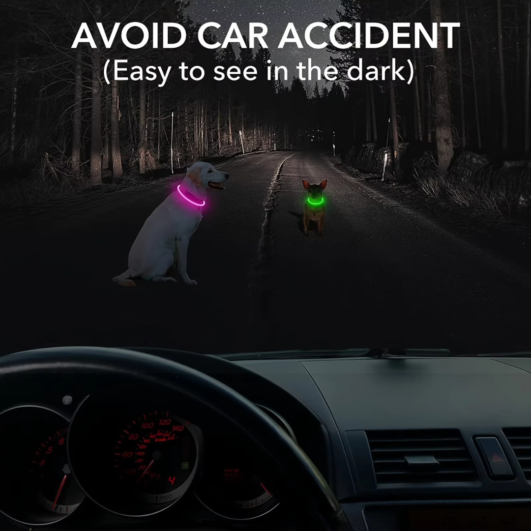 GlowSafe LED Dog Collar – Rechargeable USB Safety Light