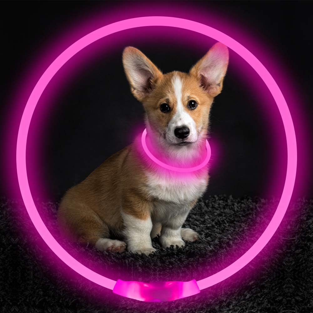 GlowSafe LED Dog Collar – Rechargeable USB Safety Light