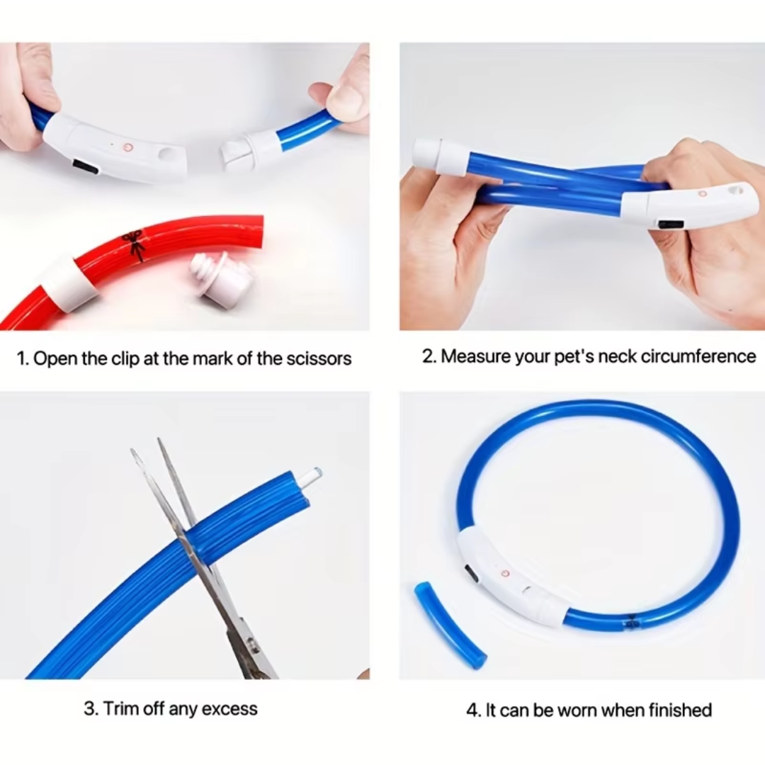 GlowSafe LED Dog Collar – Rechargeable USB Safety Light