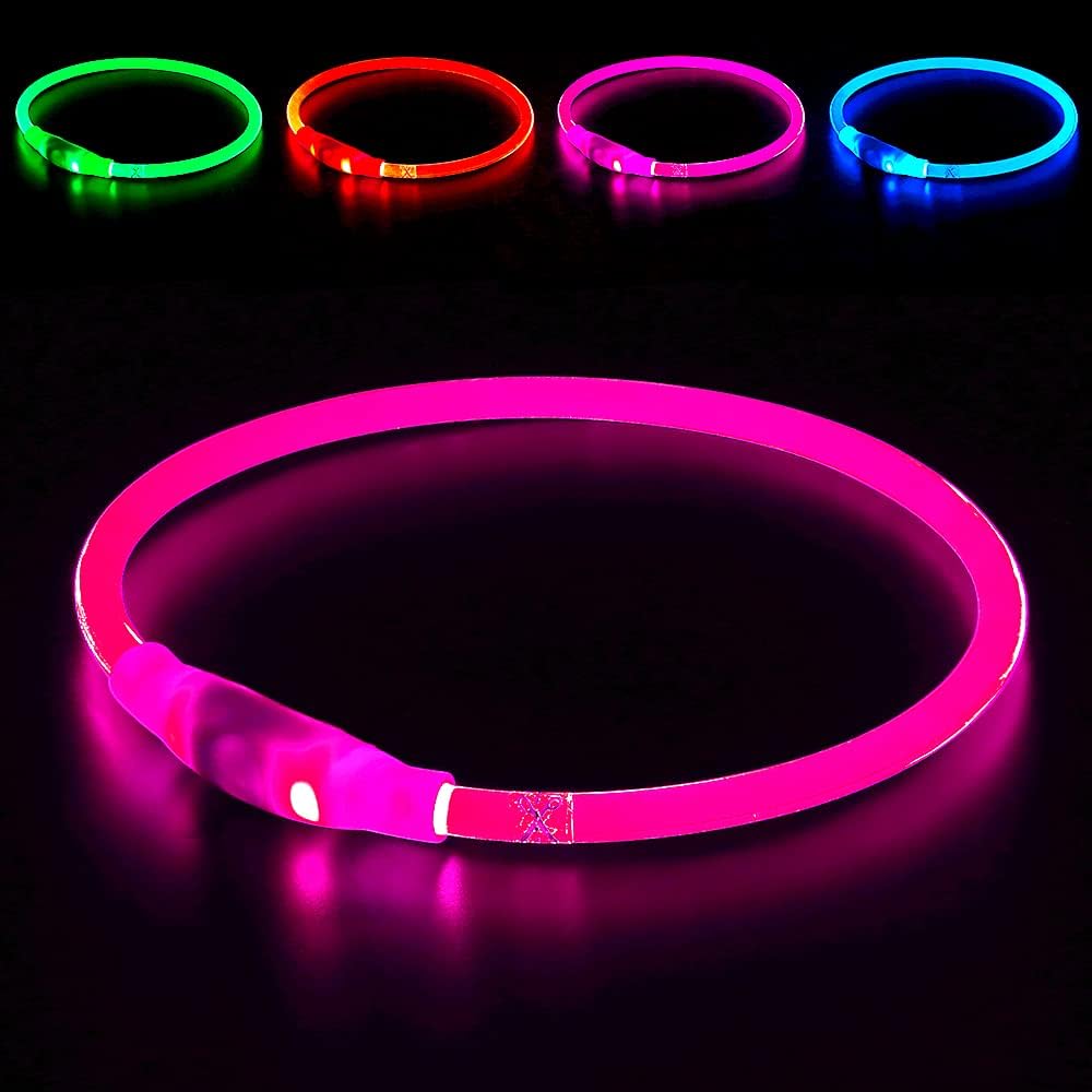 GlowSafe LED Dog Collar – Rechargeable USB Safety Light