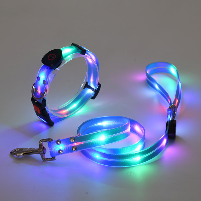 Bright LED Dog Collar with Lead - NightBright