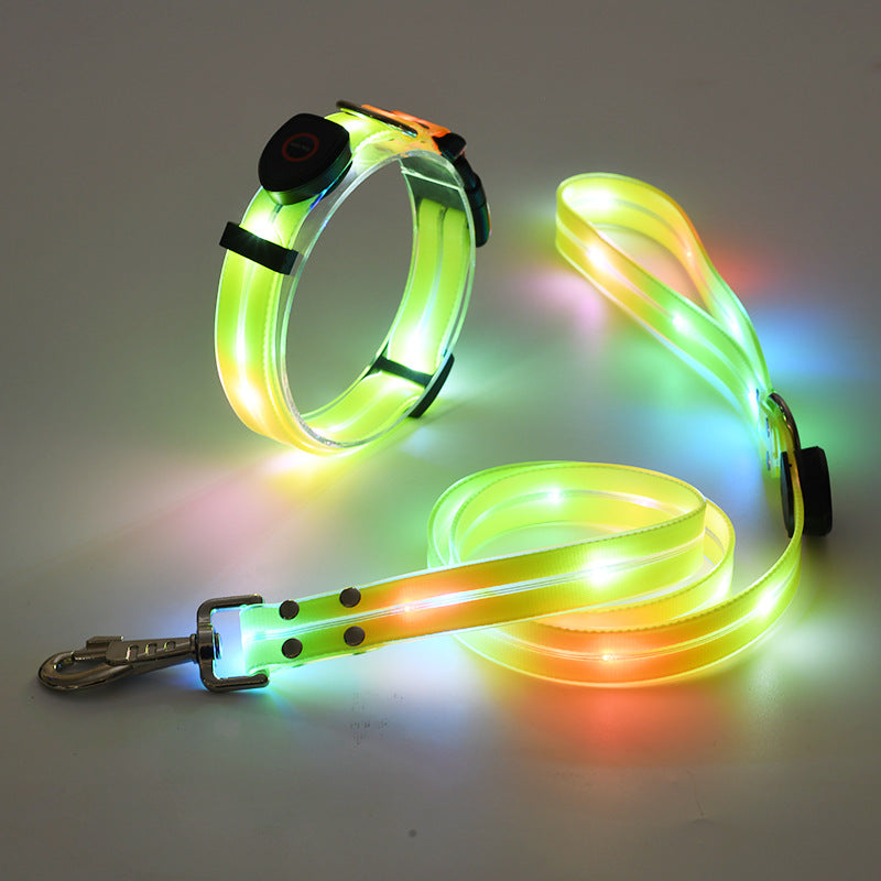 Bright LED Dog Collar with Lead - NightBright