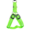 Dog Harness with LED - Glow&Go