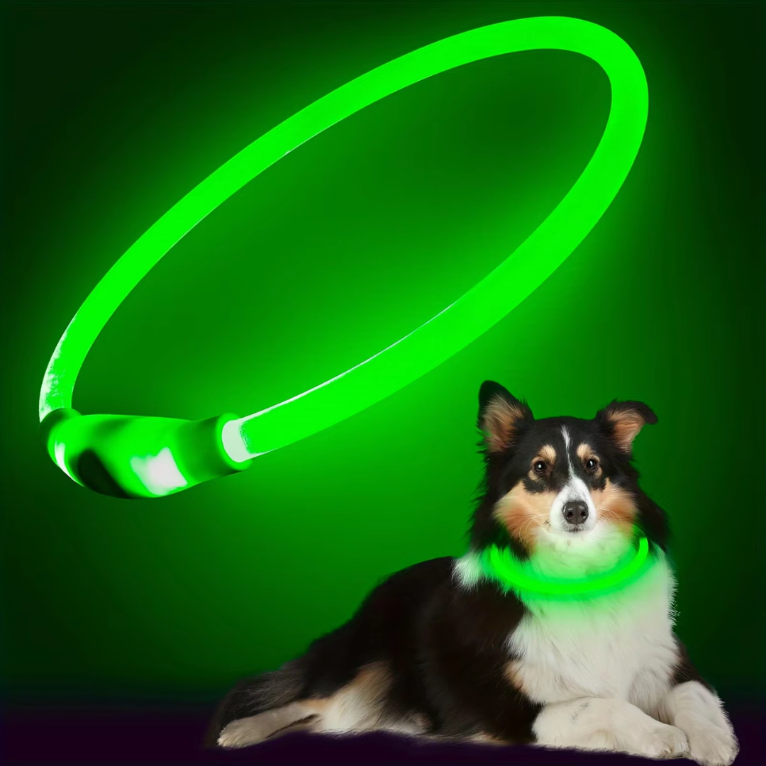 GlowSafe LED Dog Collar – Rechargeable USB Safety Light