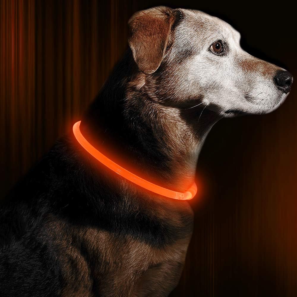 GlowSafe LED Dog Collar – Rechargeable USB Safety Light