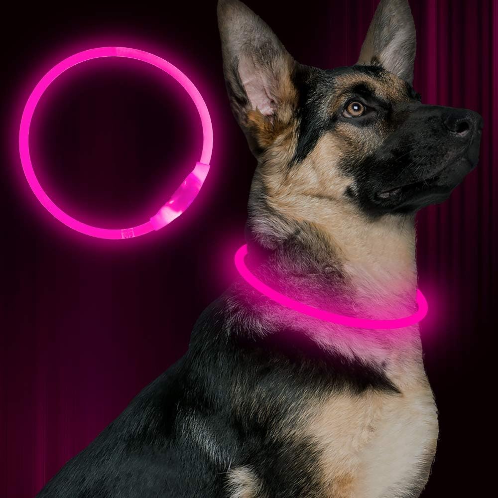 GlowSafe LED Dog Collar – Rechargeable USB Safety Light