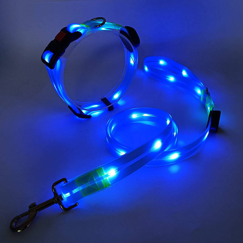 Bright LED Dog Collar with Lead - NightBright