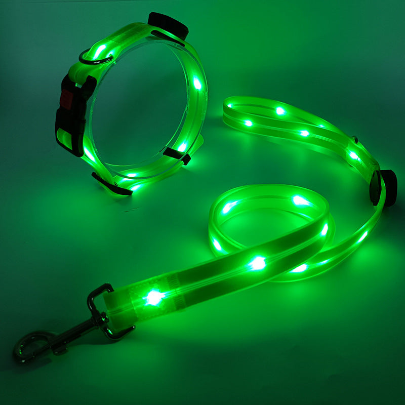 Bright LED Dog Collar with Lead - NightBright