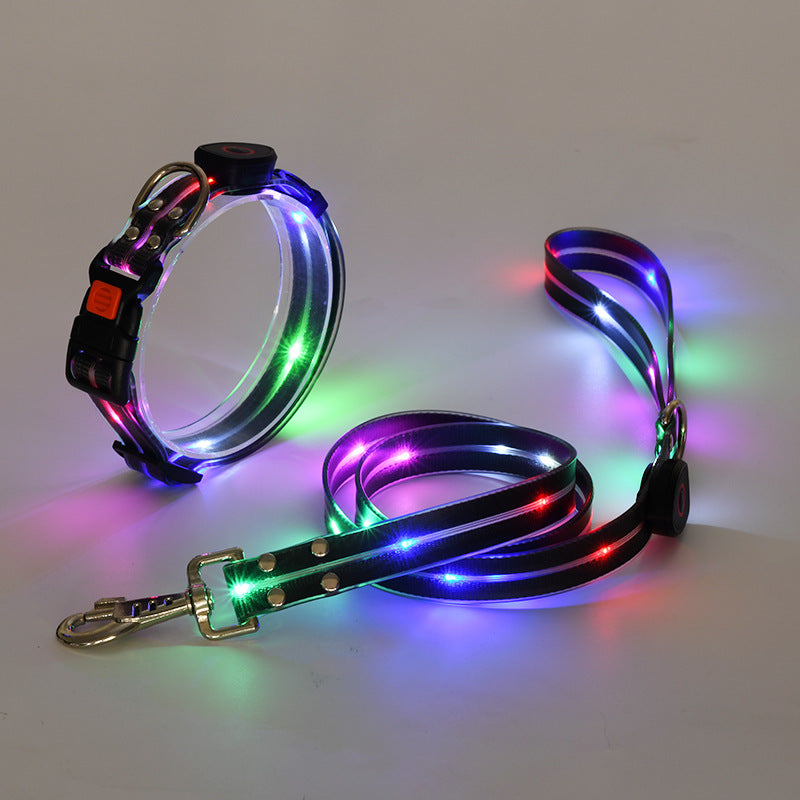 Bright LED Dog Collar with Lead - NightBright