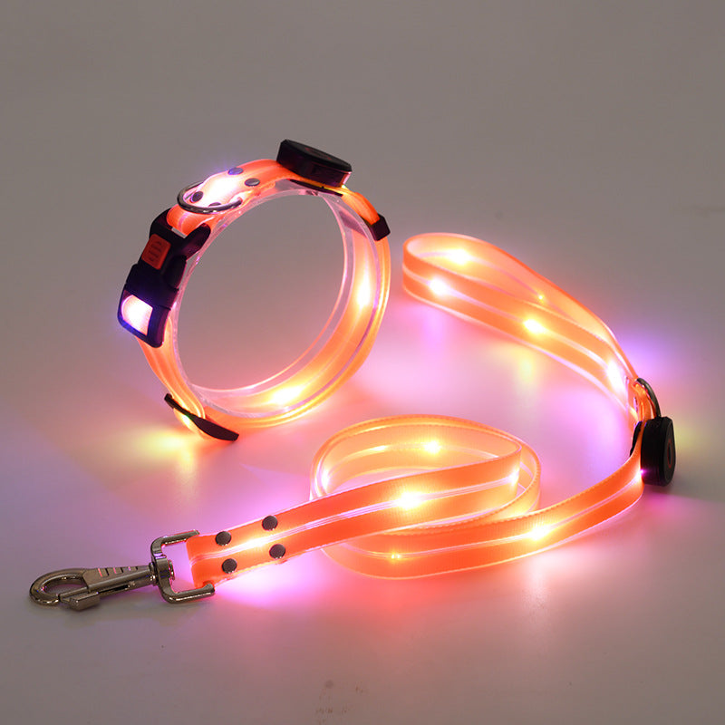 Bright LED Dog Collar with Lead - NightBright