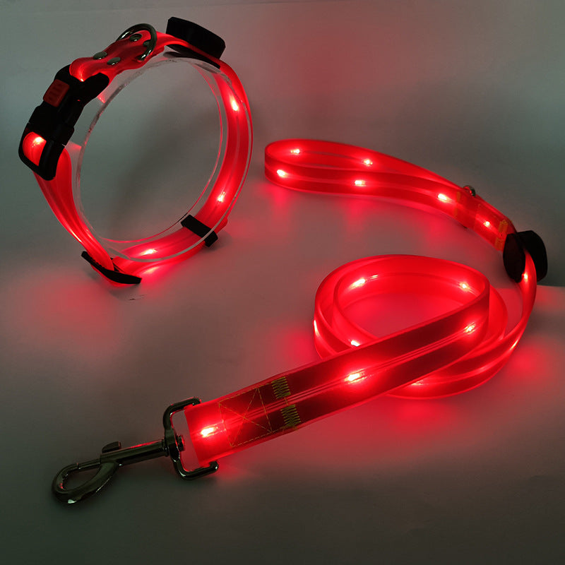 Bright LED Dog Collar with Lead - NightBright