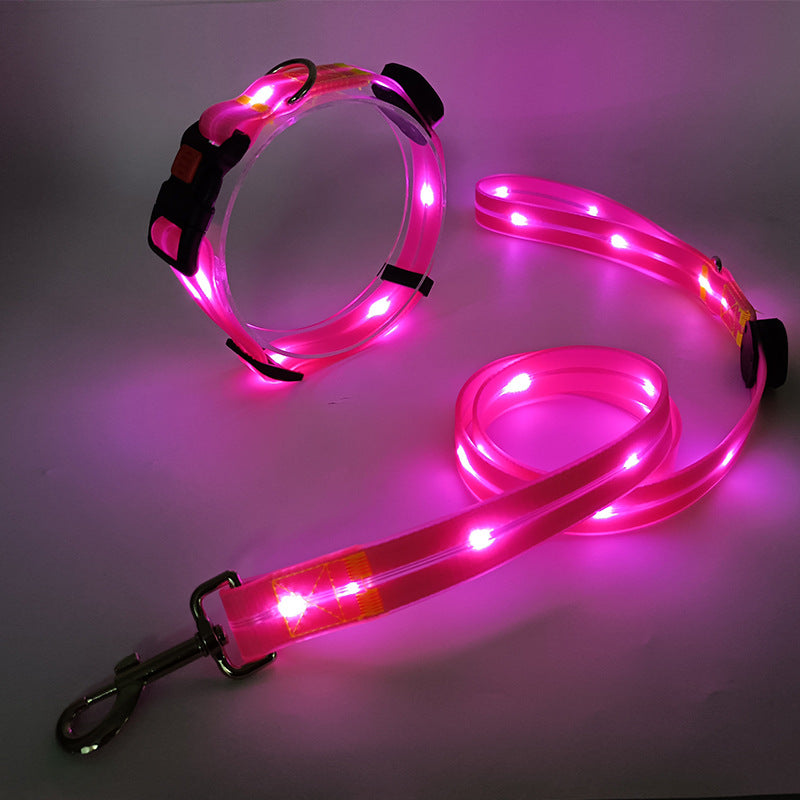 Bright LED Dog Collar with Lead - NightBright