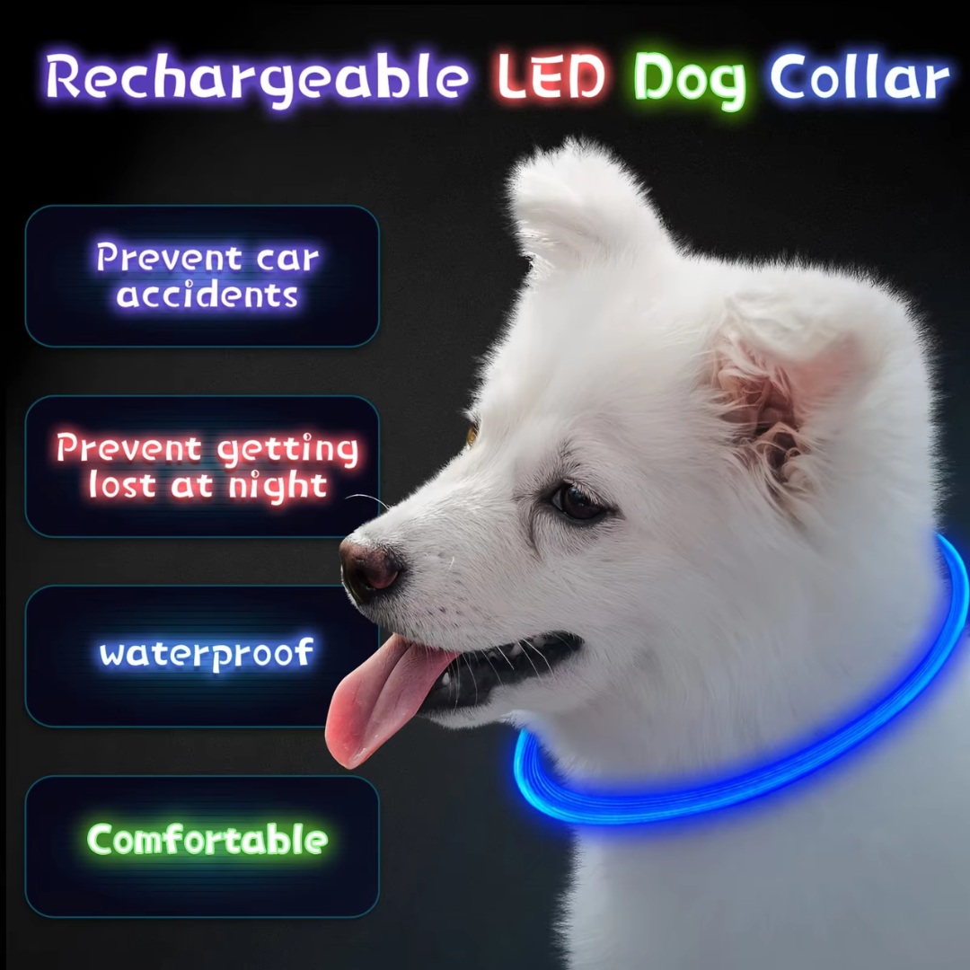 GlowSafe LED Dog Collar – Rechargeable USB Safety Light