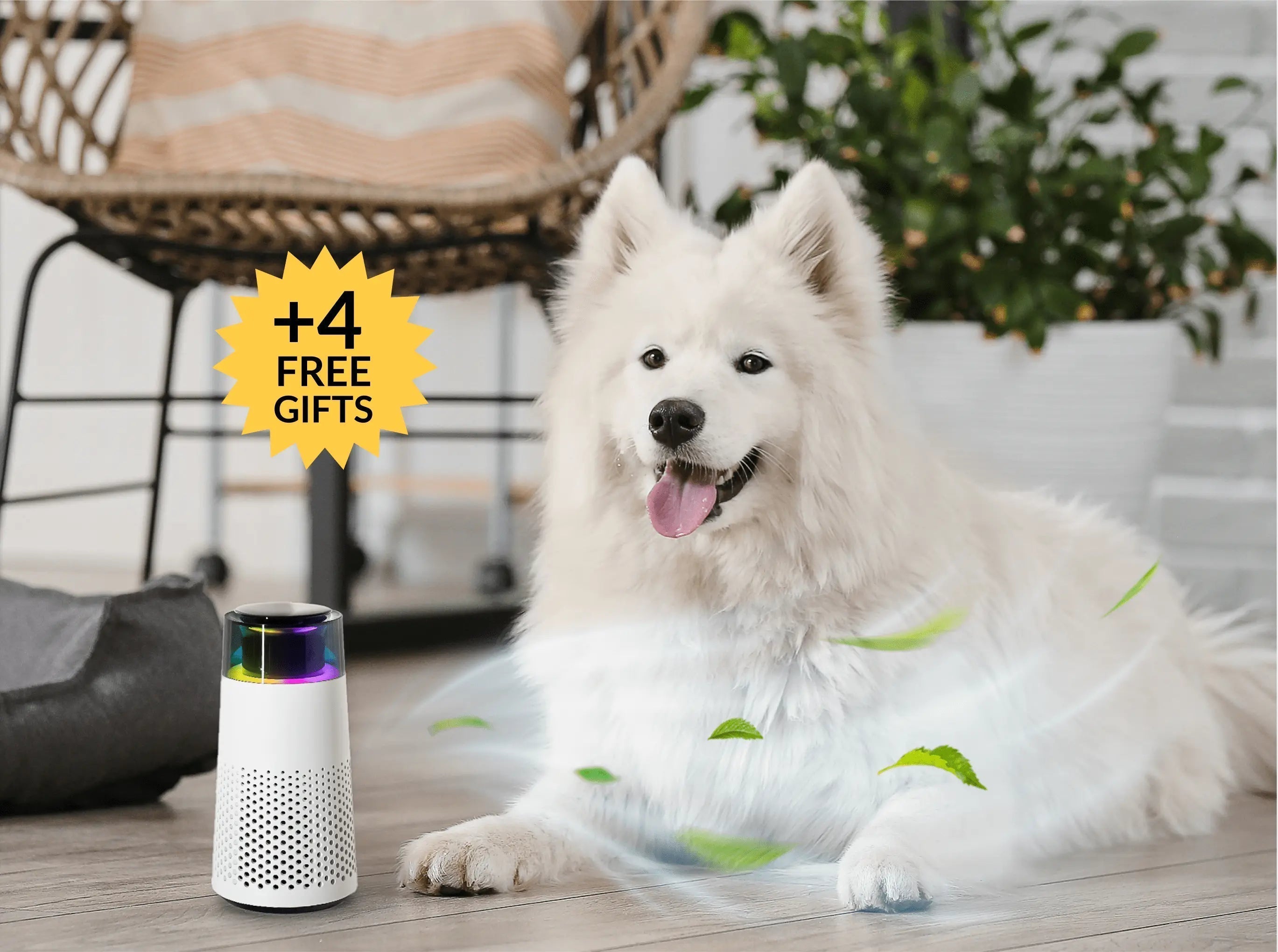 Pet Fresh Air Humidifier – PetFresh