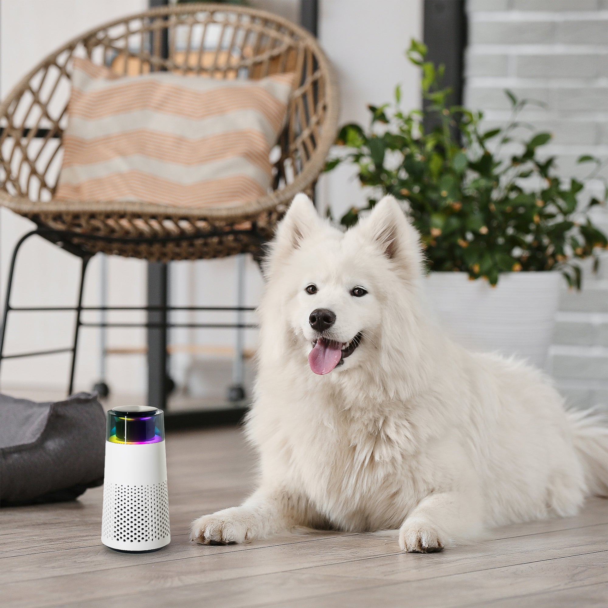 Pet Fresh Air Humidifier – PetFresh
